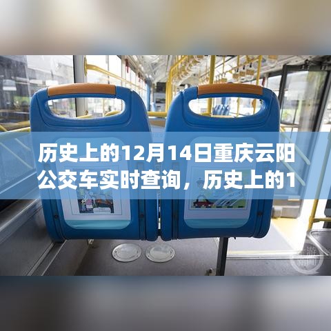 历史上的12月14日重庆云阳公交车实时查询深度测评与介绍