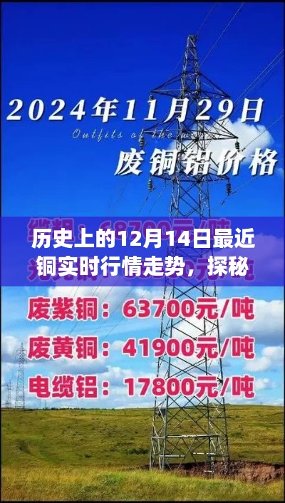 敷衍了事 第3页