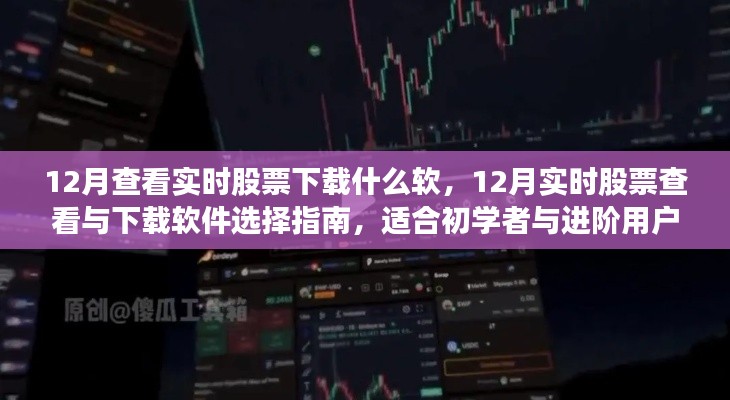 12月股票实时查看与下载软件指南，适合初学者与进阶用户的最佳选择