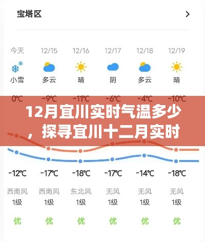 百鸟争鸣 第3页