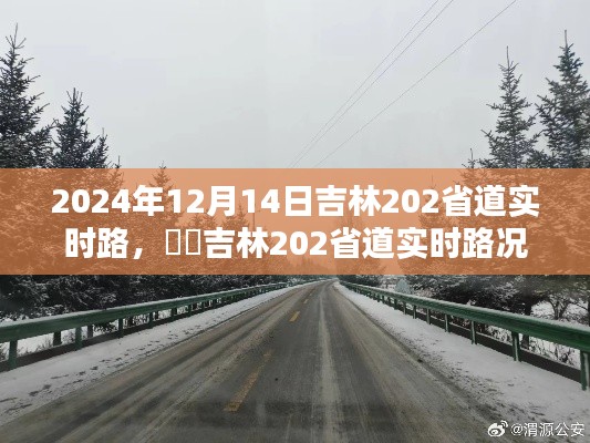 新闻动态 第227页