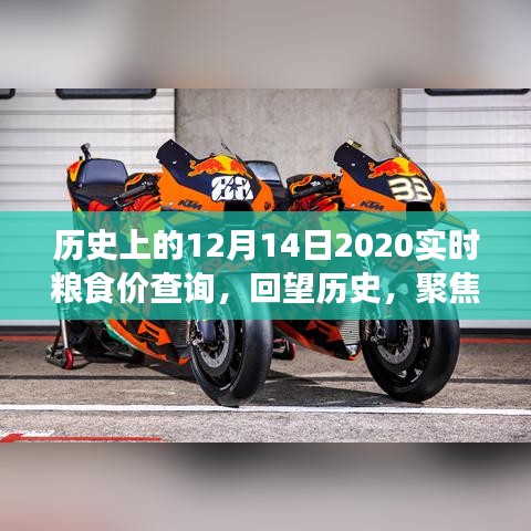 回望历史聚焦粮食价格波动，实时查询粮食价格分析与思考