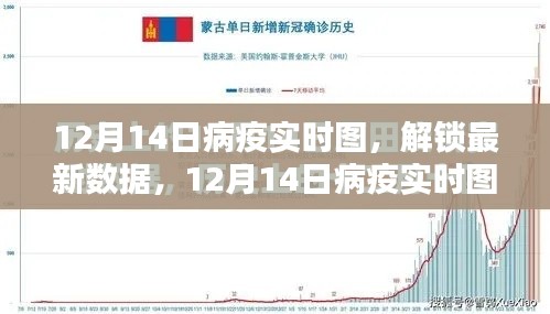 最新数据深度解析