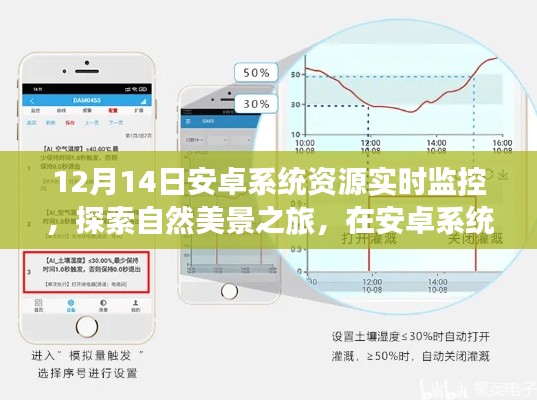 心灵净化之旅