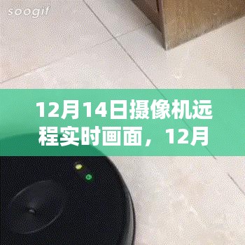 12月14日摄像机远程实时画面，智能监控的无限潜能探索