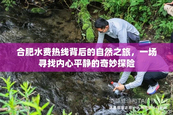 初告白 第3页