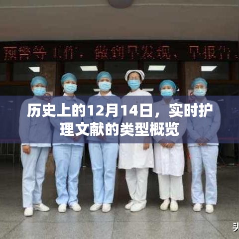 历史上的护理文献概览，实时护理文献类型概览（12月14日）