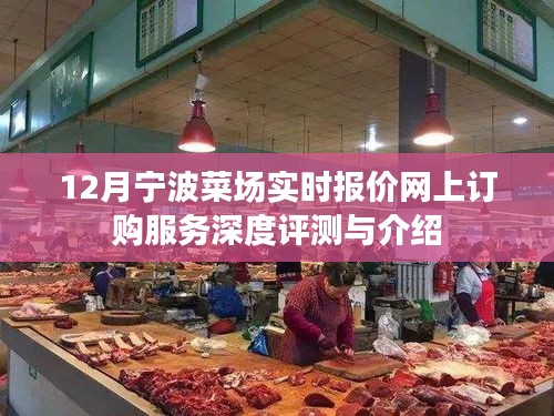 体验报告