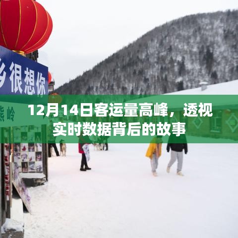 真相揭示