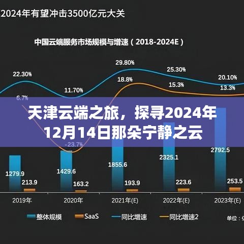 玉树临风 第3页