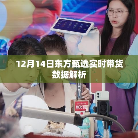 刚毅木讷 第3页