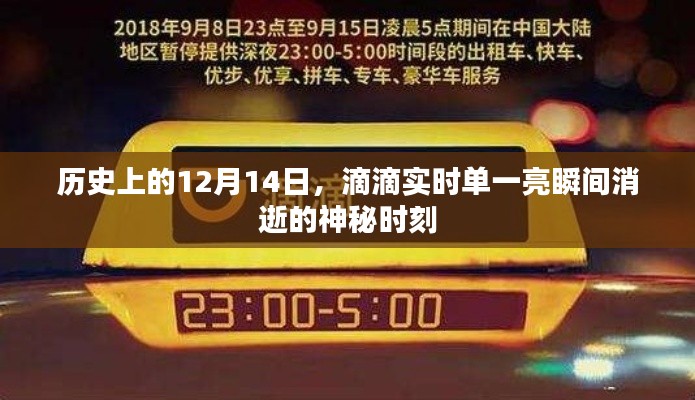 贵不可言 第3页