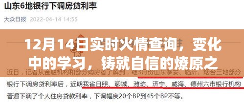 燎原之火，实时火情查询与变化中的学习铸就自信