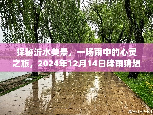 雨中探秘沂水美景，心灵之旅的奇妙体验（2024年12月14日降雨猜想）