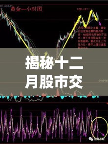 深度洞察