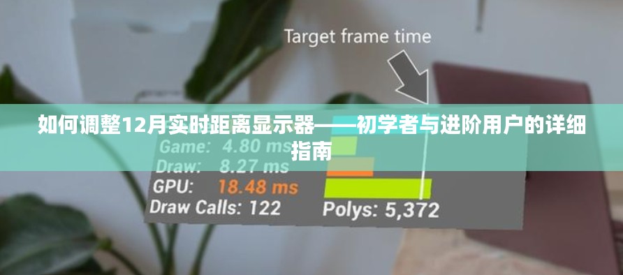 初学者与进阶用户指南，调整12月实时距离显示器的步骤和技巧