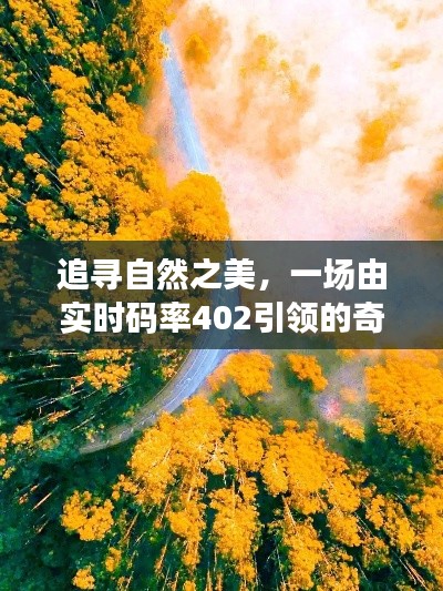 探索之旅
