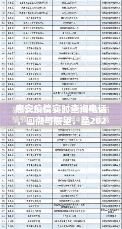 惠安疫情实时查询电话，回溯与展望，至2024年抗疫历程与深远影响