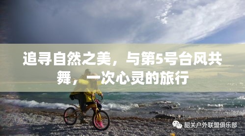 心灵之旅