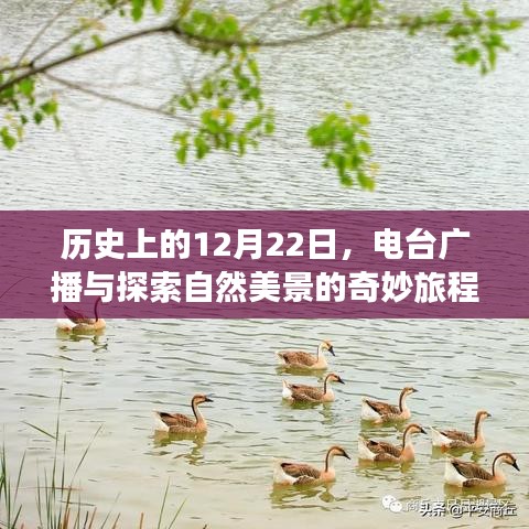 自然美景探索之旅