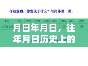 月日月日历史导航与实时路况使用指南