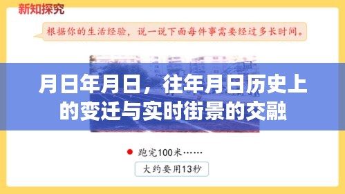 木乾鸟栖 第3页