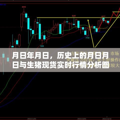 月日月日历史背景与生猪现货行情分析图