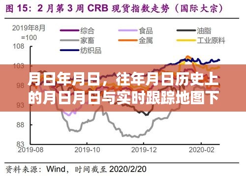 石狮疫情历史回顾与实时跟踪地图下的最新动态