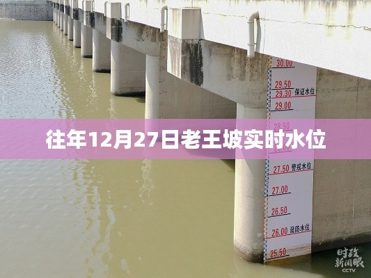 手不释卷 第3页