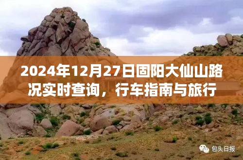 百鸟朝凤 第3页
