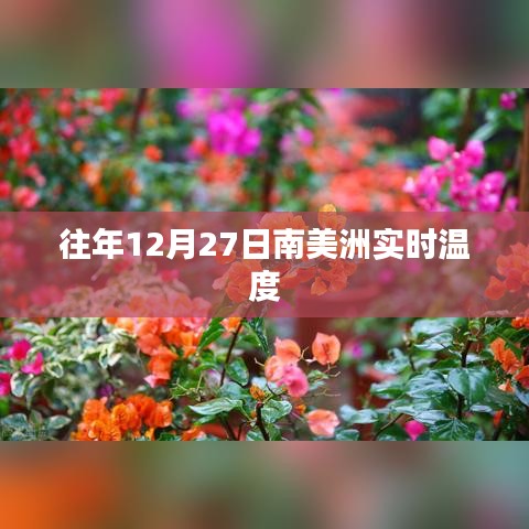 慌慌张张 第3页