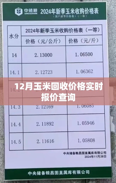 风韵犹存 第3页