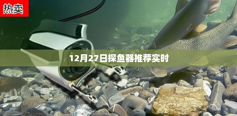 有张没智 第3页