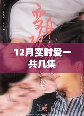 实时爱12月版集数揭秘