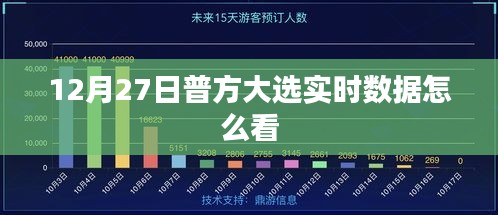 普方大选实时数据解读与分析