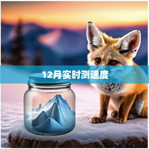12月最新网速实时测试报告