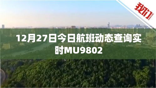 今日航班动态查询，MU9802航班实时动态追踪