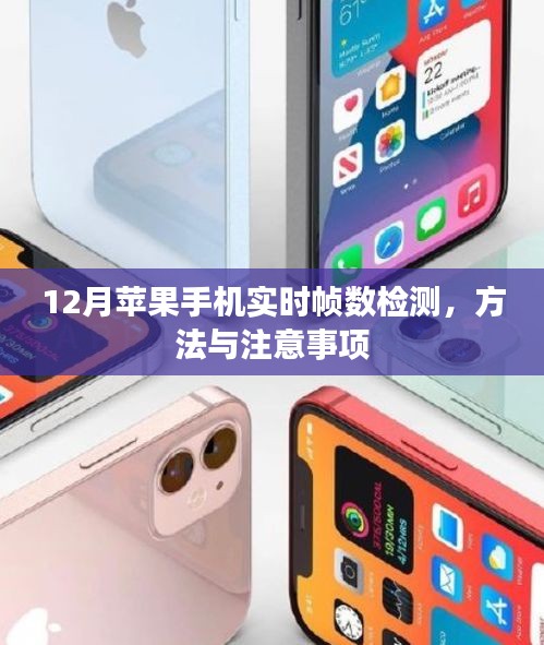 苹果12月实时帧数检测攻略，方法与注意事项