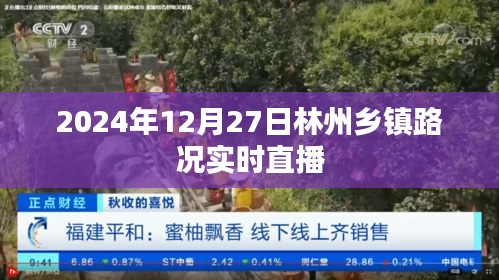 林州乡镇路况实时直播，2024年12月27日更新
