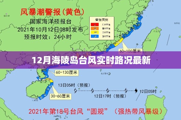 删华就素