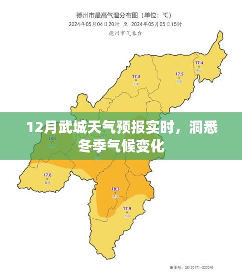 武城天气预报实时更新，冬季气候尽在掌握