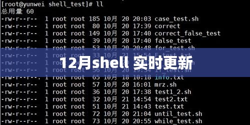 12月Shell实时更新详解