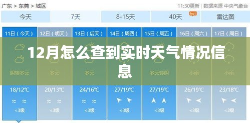12月实时天气查询方法及最新信息