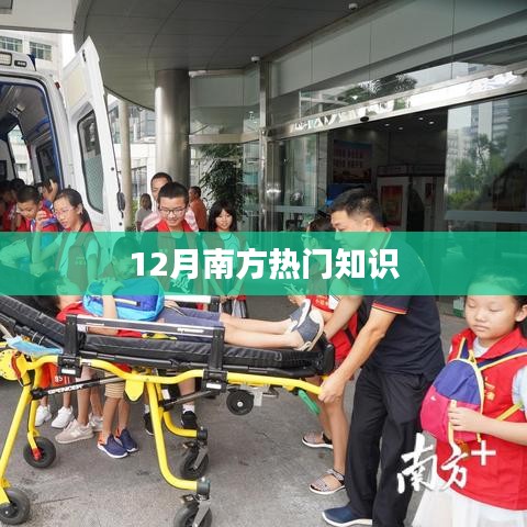 南方热门知识盘点