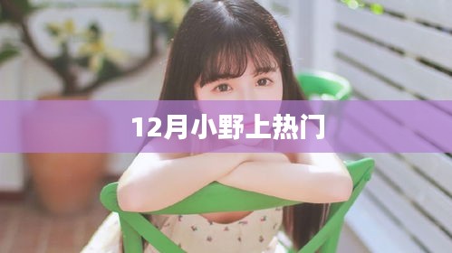 12月小野成焦点热议话题