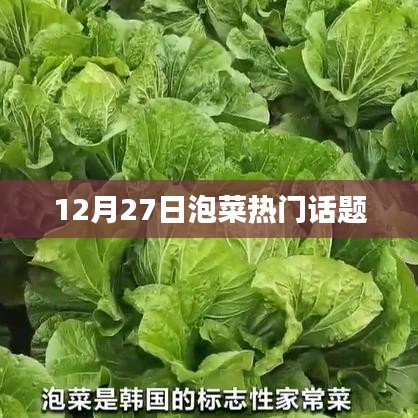 12月27日泡菜热议话题盘点