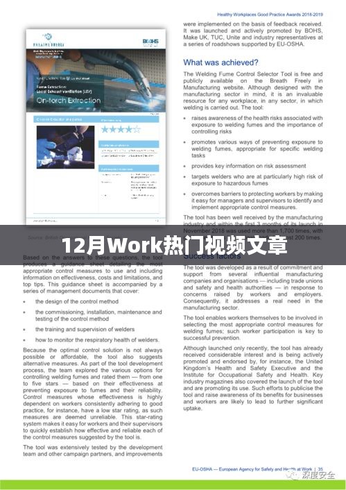 12月热门视频文章大盘点