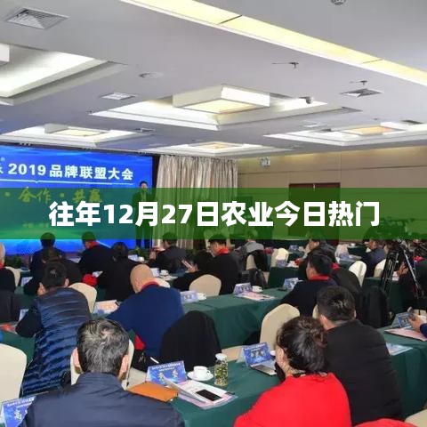 农业热点聚焦，历年十二月二十七日热门话题盘点