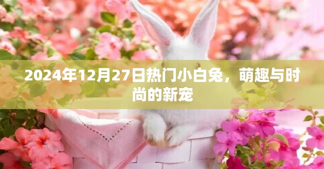 2024年时尚新宠，小白兔的萌趣时尚之旅