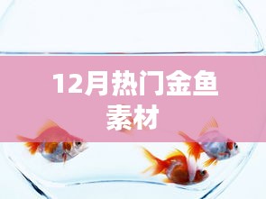 粗枝大叶 第3页